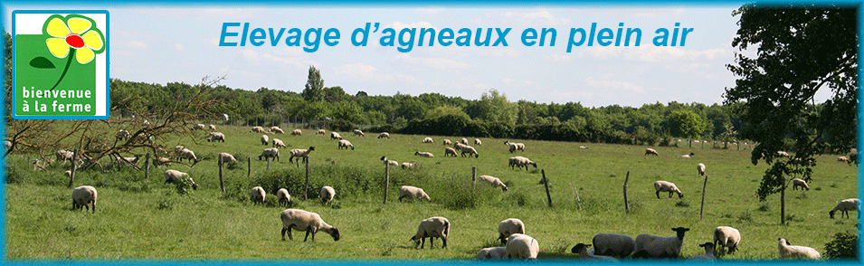http://www.ferme-des-morinieres.fr/wp-content/uploads/2013/05/ban_agneau_2.png