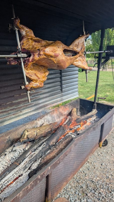 Agneau entier de 18 à 22kg pour méchoui